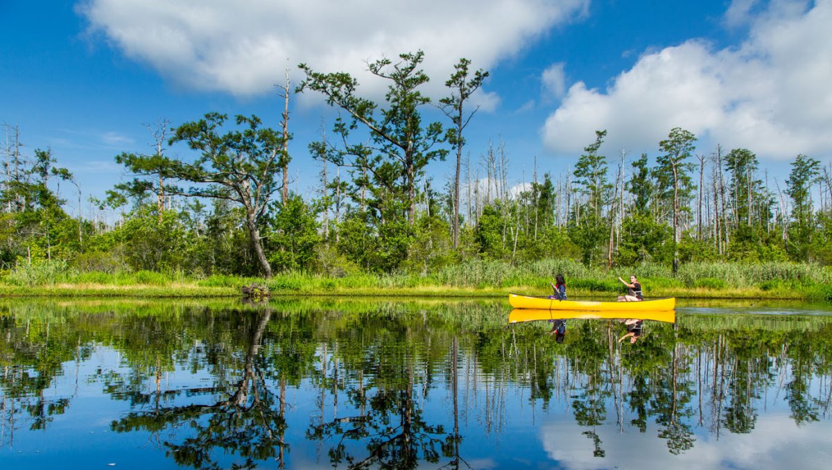 14 Epic Outdoor Adventures for Maximum Fun in North Carolina
